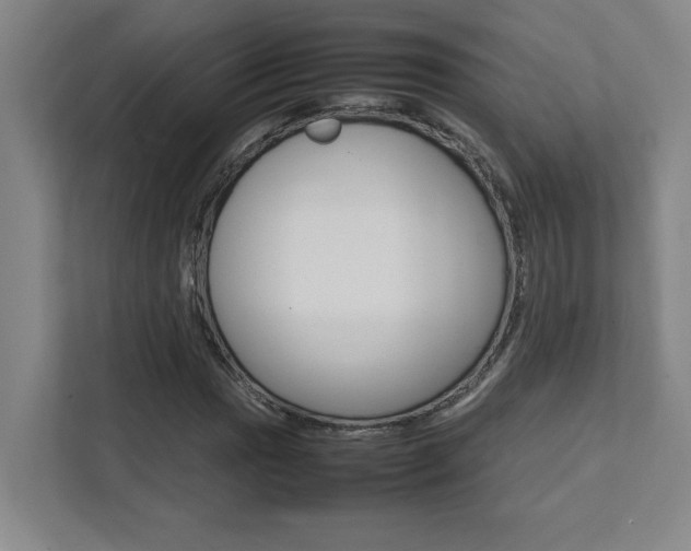 X0000112041017200908031038