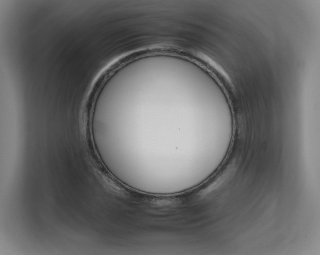 X0000112041021200908031038