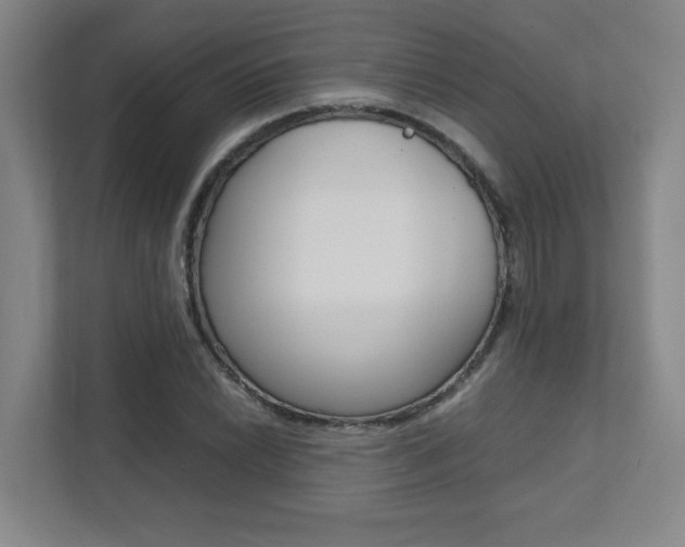 X0000112041022200908031038