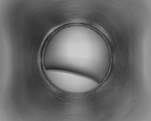 X0000112041024200908031038