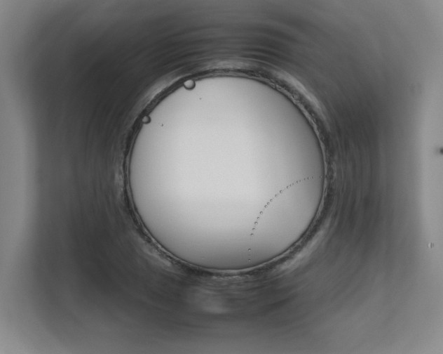 X0000112041025200908031038