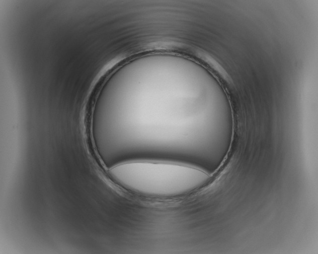 X0000112041026200908031038