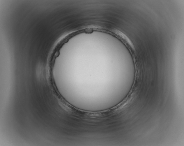 X0000112041027200908031038