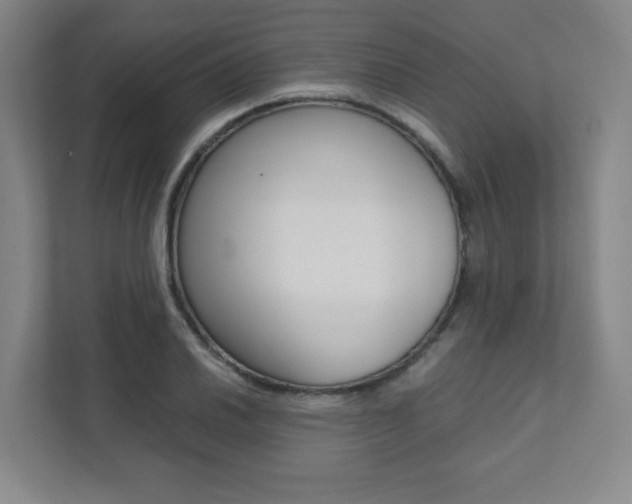X0000112041030200908031038