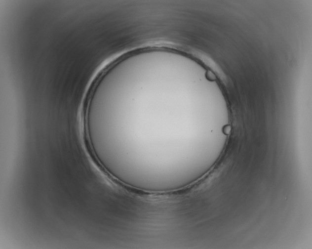 X0000112041032200908031038