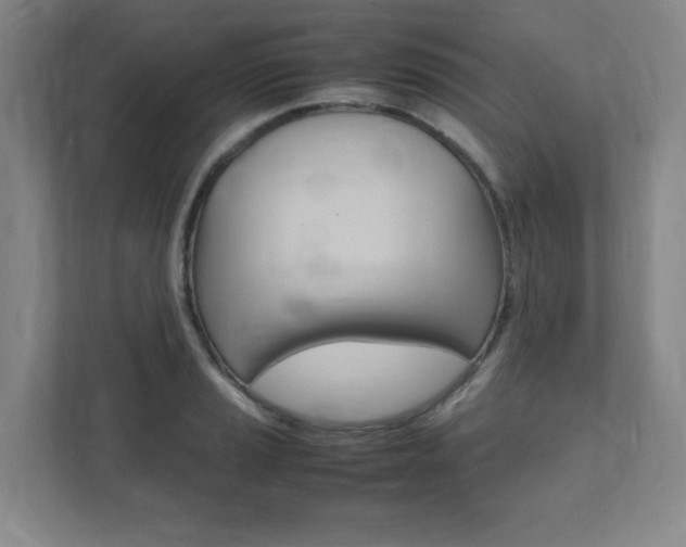 X0000112041037200908031038