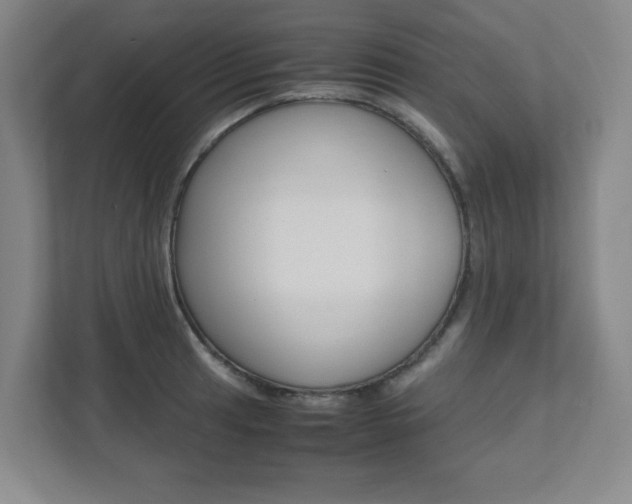 X0000112041041200908031038