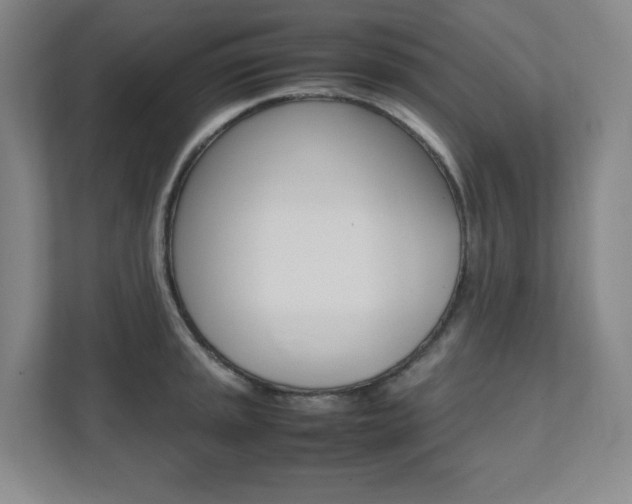 X0000112041045200908031038