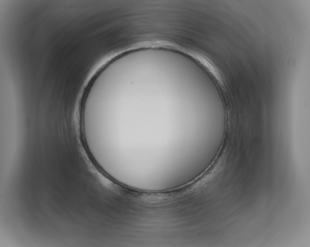 X0000112041046200908031038