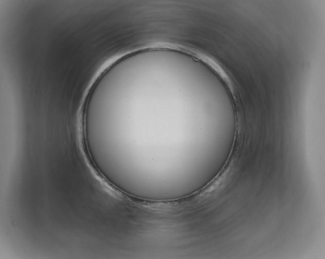 X0000112041048200908031038