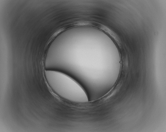 X0000112041049200908031038