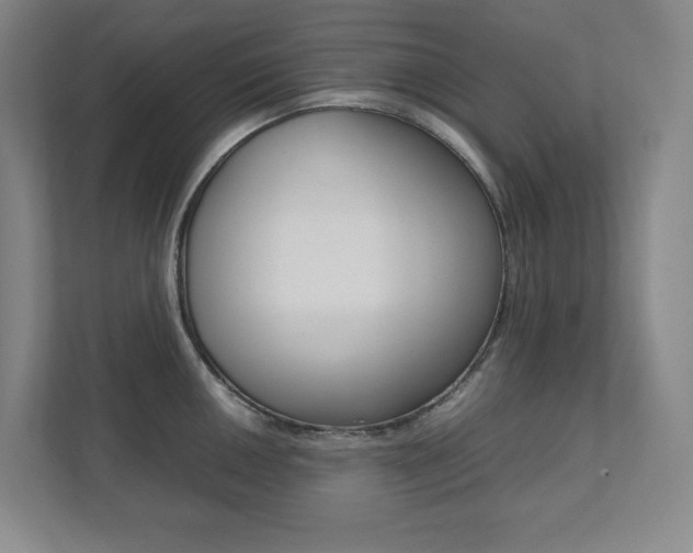 X0000112041050200908031038