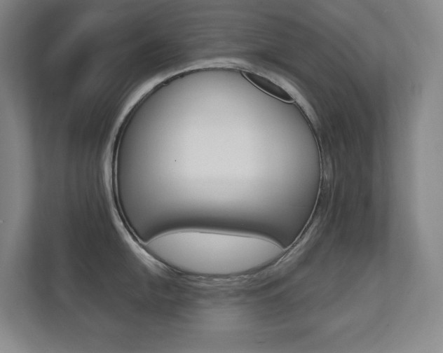X0000112041054200908031038