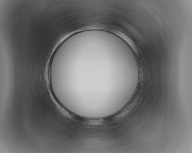 X0000112041055200908031038