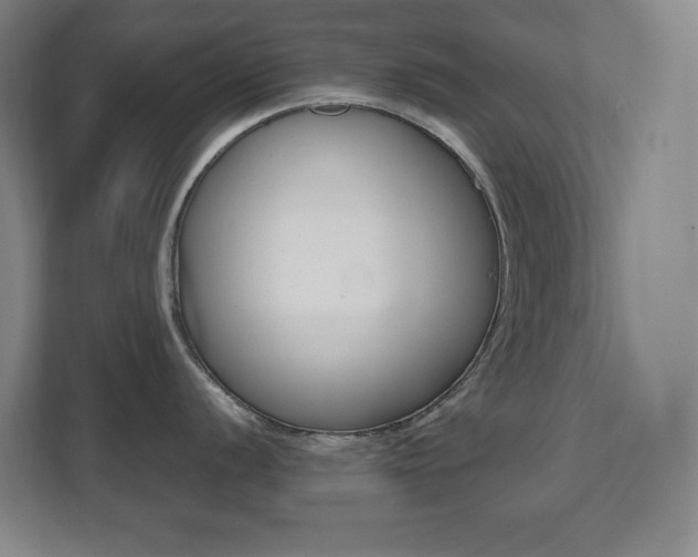 X0000112041056200908031038