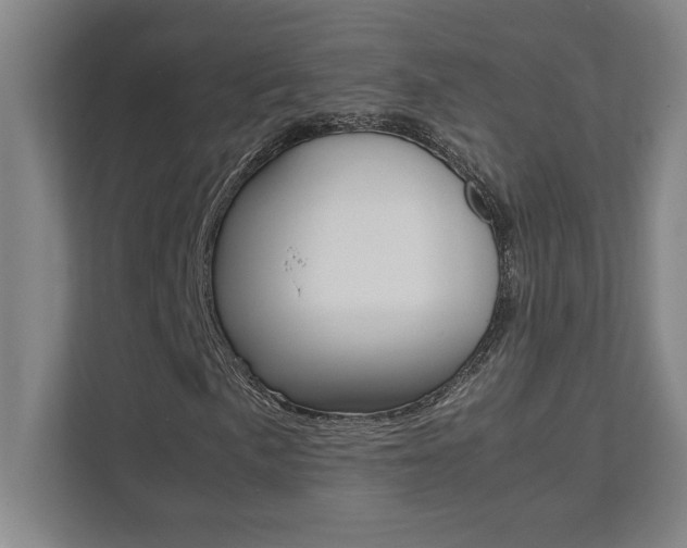 X0000112041057200908031038
