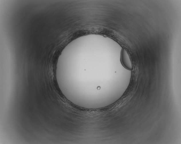 X0000112041058200908031038