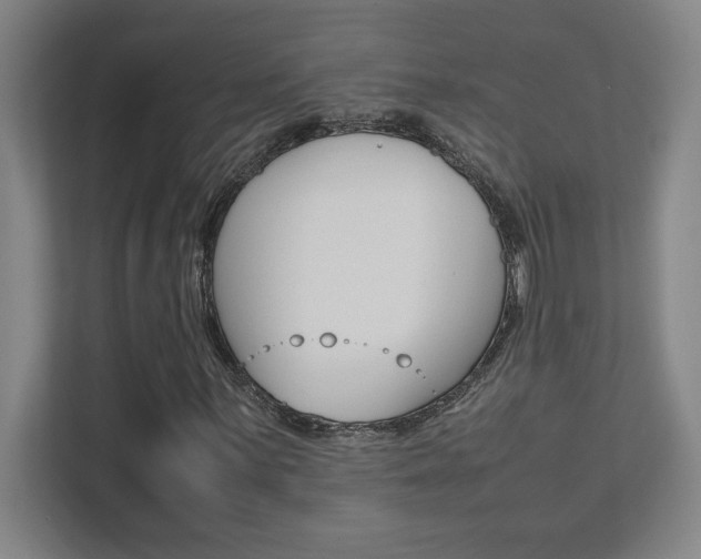 X0000112041059200908031038