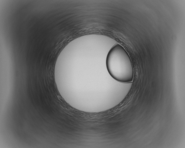 X0000112041060200908031038