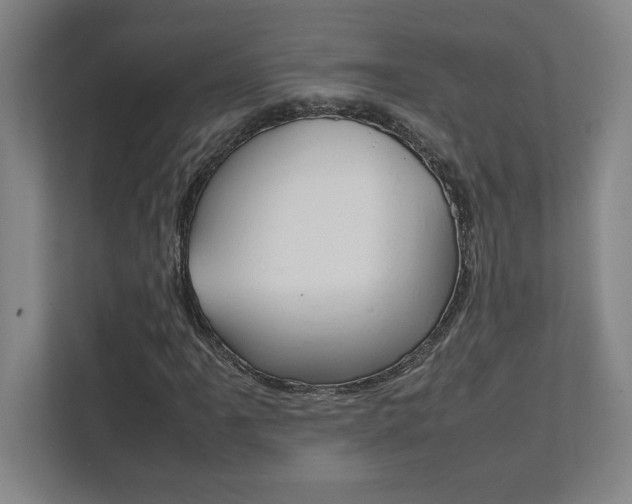 X0000112041061200908031038