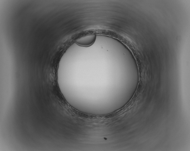 X0000112041062200908031038