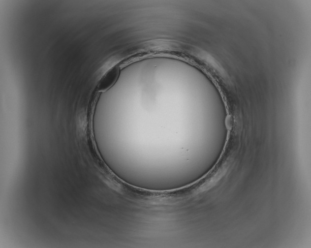 X0000112041065200908031038