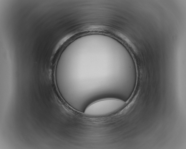 X0000112041066200908031038