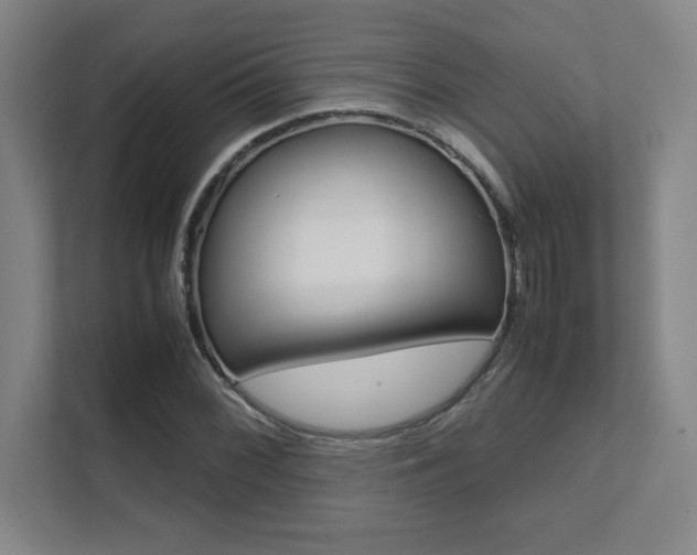 X0000112041068200908031037