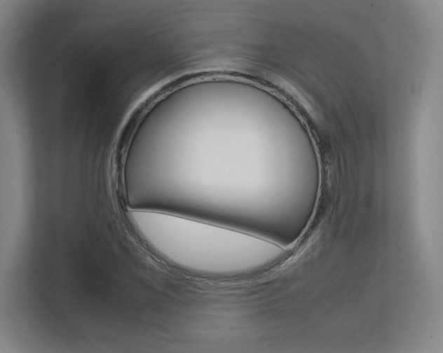 X0000112041069200908031037