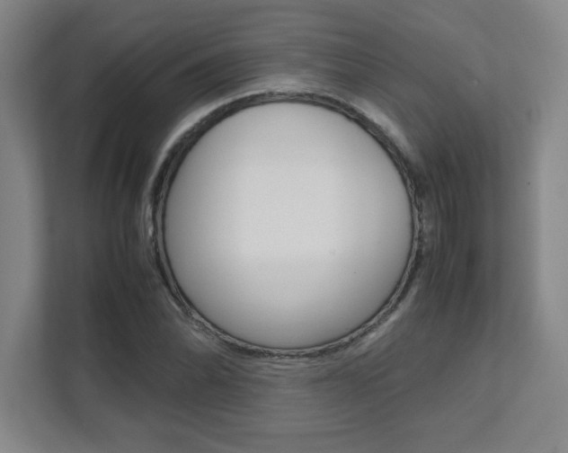 X0000112041070200908031037
