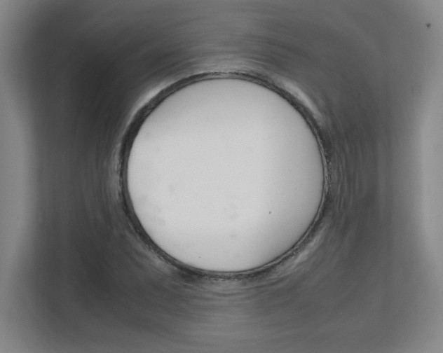 X0000112041071200908031037