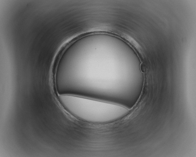 X0000112041072200908031037