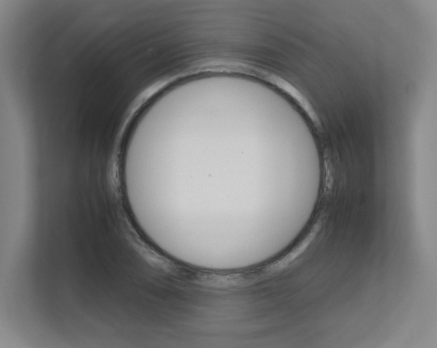 X0000112041074200908031037