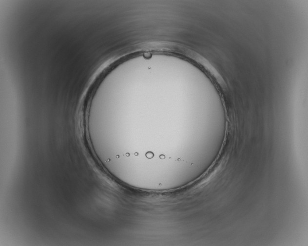 X0000112041075200908031037