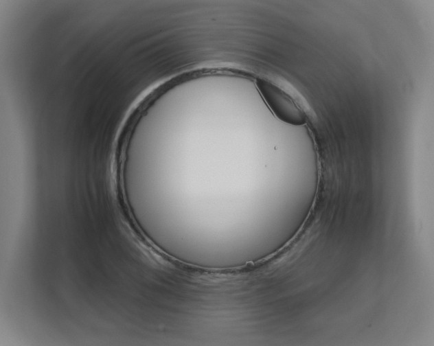 X0000112041076200908031037