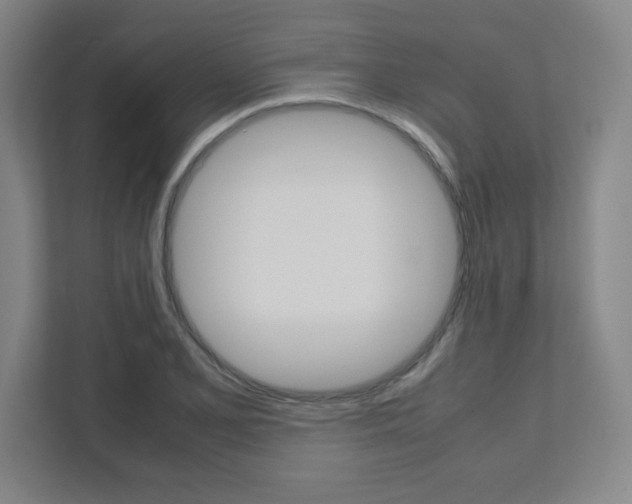 X0000112041077200908031037