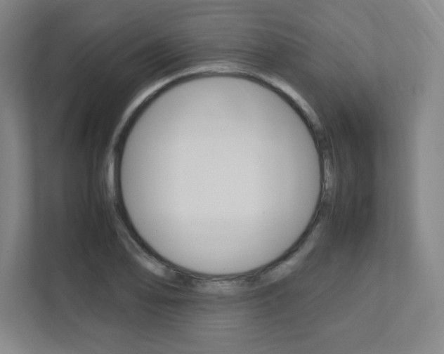 X0000112041078200908031037