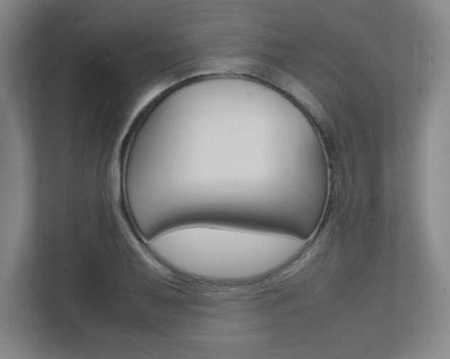 X0000112041079200908031037