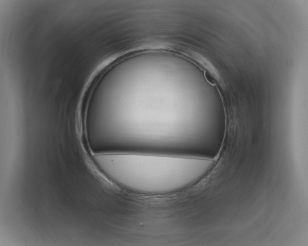 X0000112041080200908031037