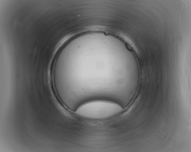 X0000112041082200908031037