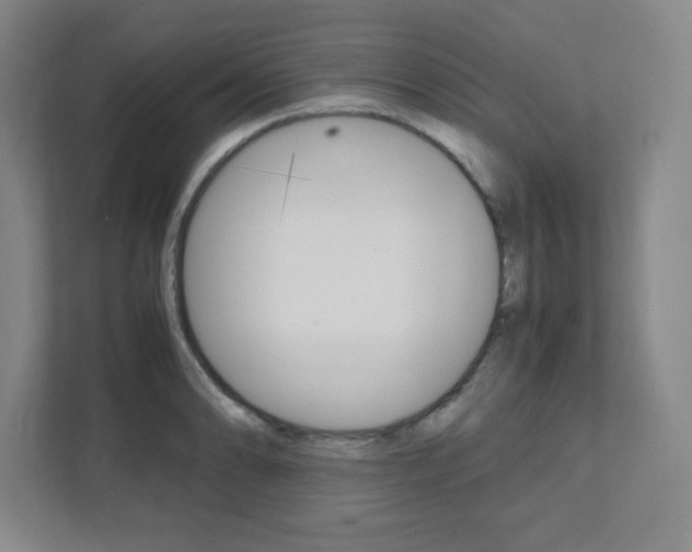 X0000112041086200908031037