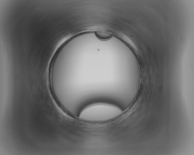 X0000112041087200908031037