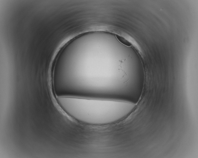 X0000112041088200908031037