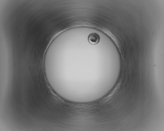 X0000112041089200908031037