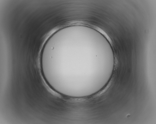 X0000112041090200908031037