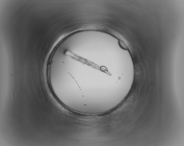 X0000112041091200908031037