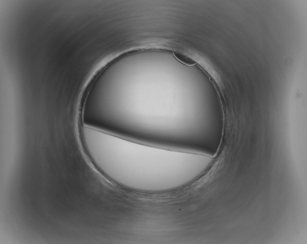 X0000112041093200908031037