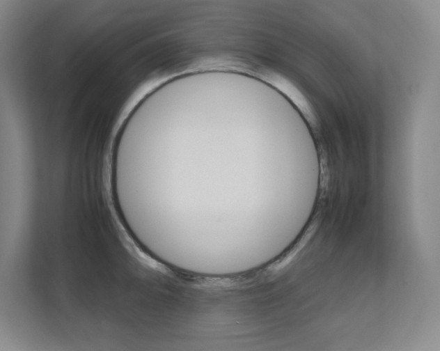 X0000112041094200908031037