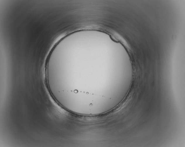 X0000112041095200908031037