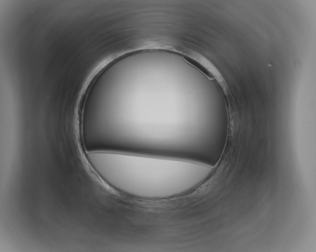 X0000112041096200908031037